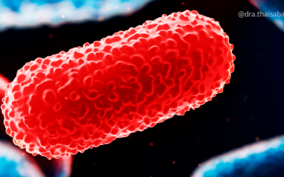 Disbiose e sibo: entenda a diferença entre esses desequilíbrios nas bactérias do intestino