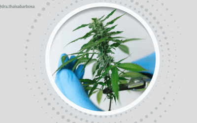 Cannabis e doenças inflamatórias intestinais: quais são os benefícios e contra indicações?