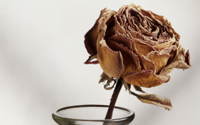 O impacto real da menopausa no seu funcionamento intestinal